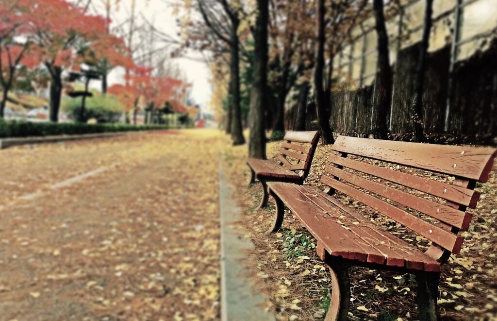 Outside view of a street along with two benches