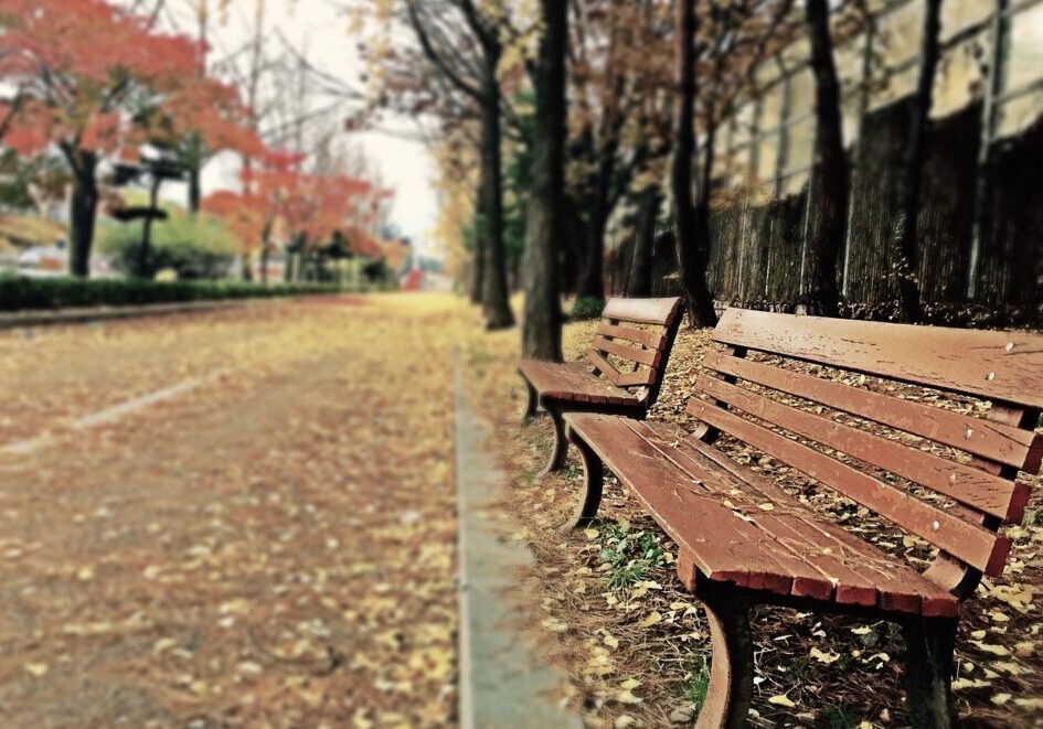 Outside view of a street along with two benches